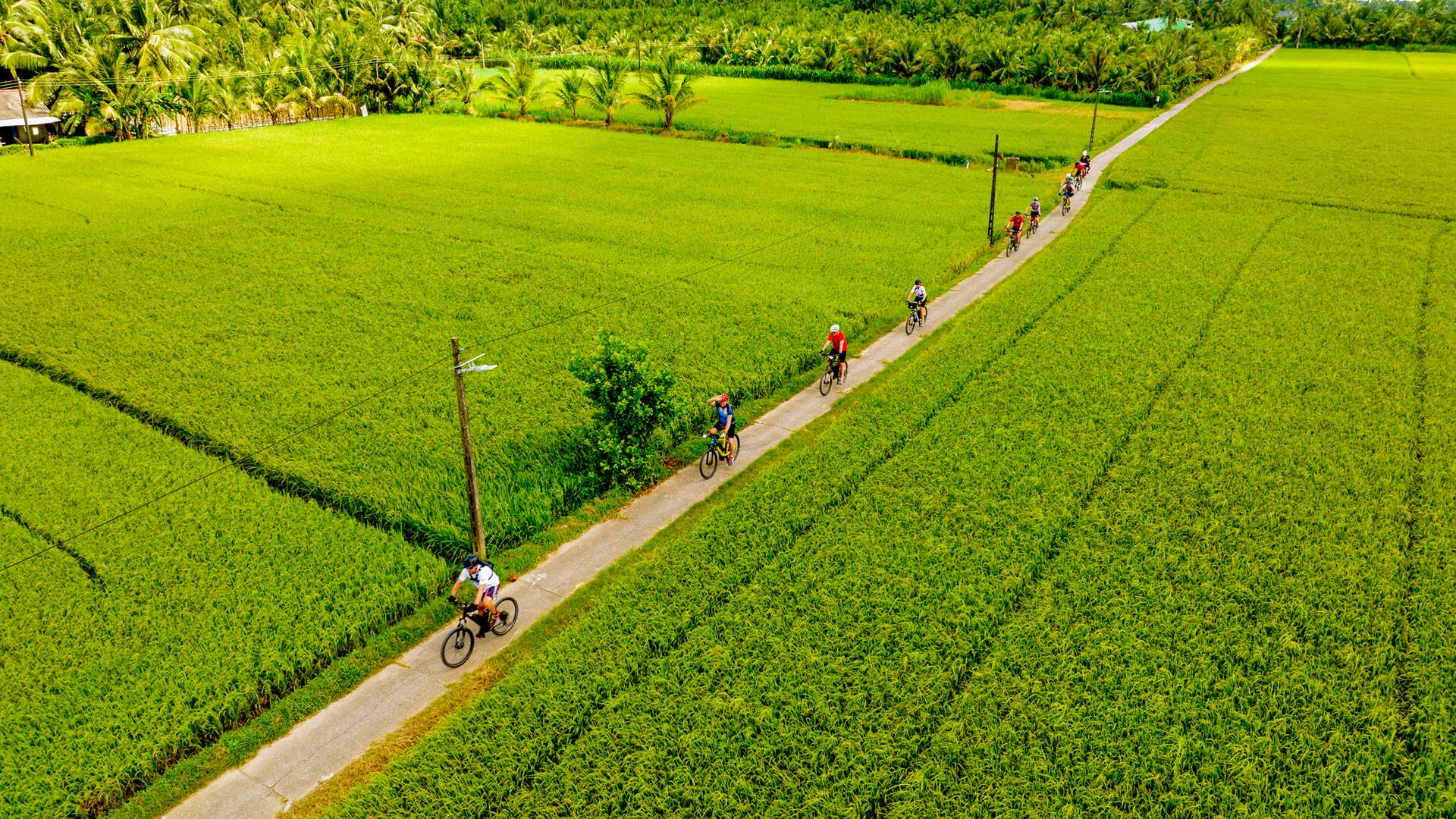 Saigon to Hoi An Cycling Tour: The Ultimate 10-Day Coastal & Highland Adventure